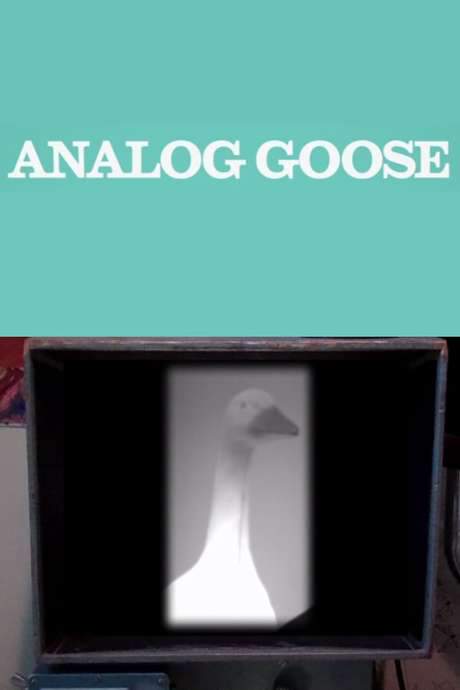 Analog Goose
